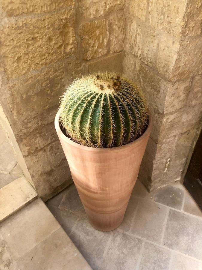 Lu Leccio Apart otel Lecce Dış mekan fotoğraf
